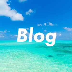 投稿についてもっと詳しく Blog1