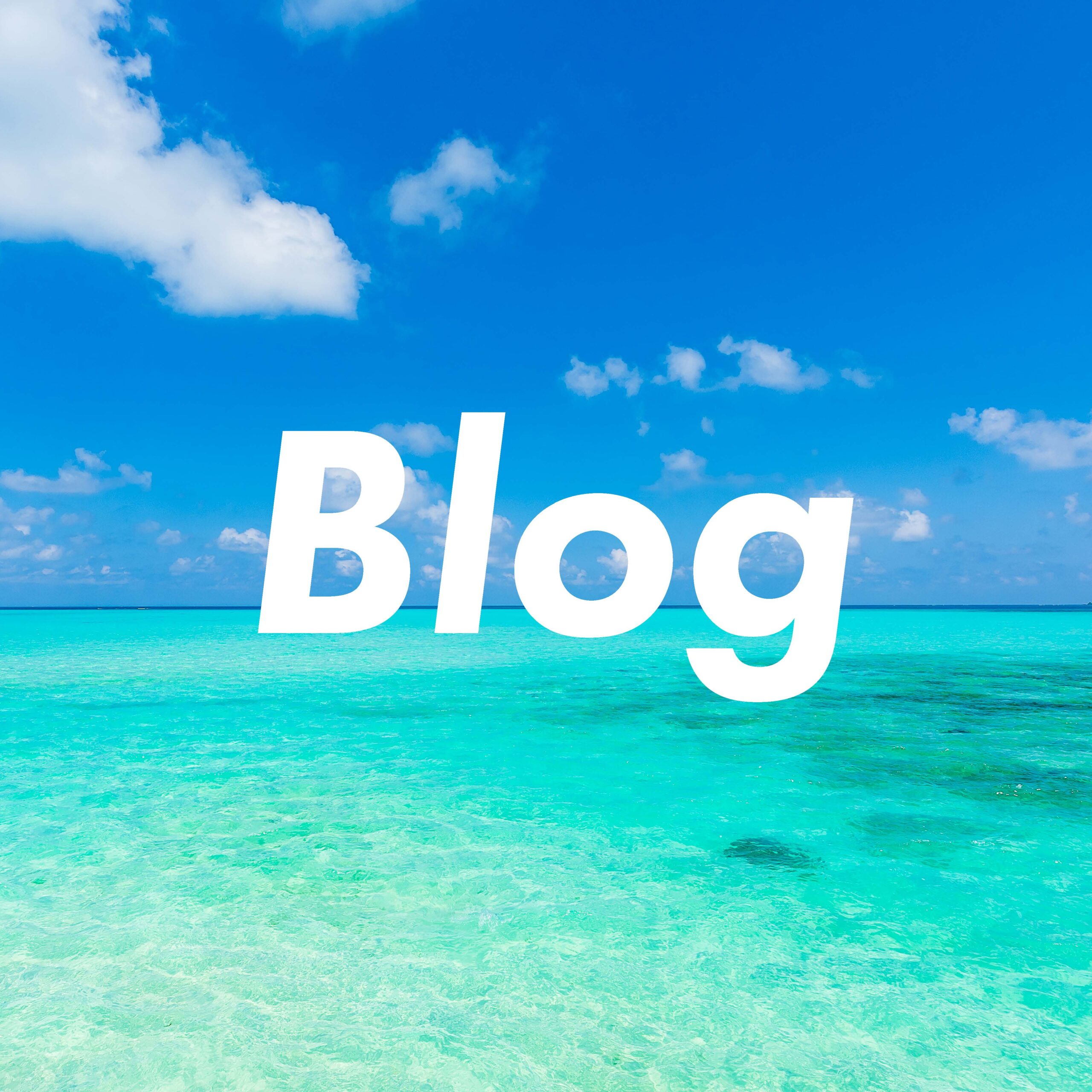 あなたが現在見ているのは Blog1