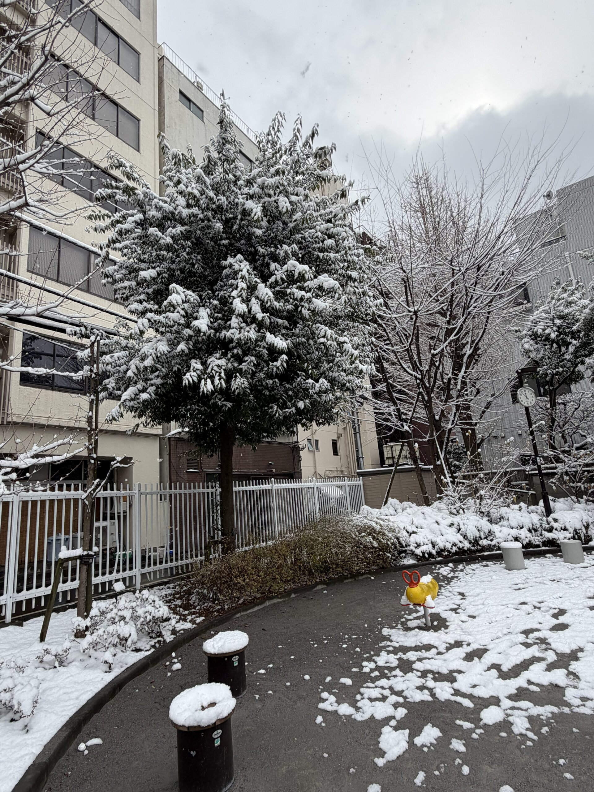 あなたが現在見ているのは 新宿でも積雪がありました。