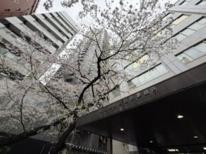 投稿についてもっと詳しく 新年度のスタートと市場の動きについて